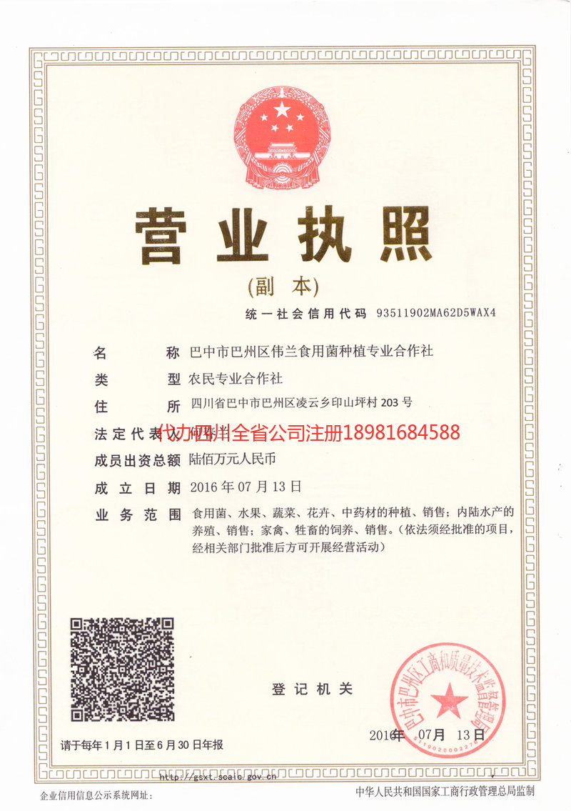 衡阳衡阳伟兰食用菌种植专业合作社